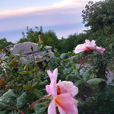 Casa vacanze Katafigio In Village *