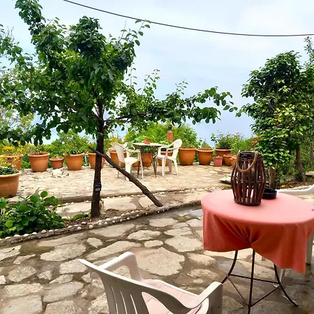 Katafigio In Village *