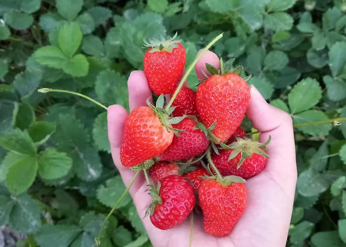 Katafigio In Village Ferienhaus