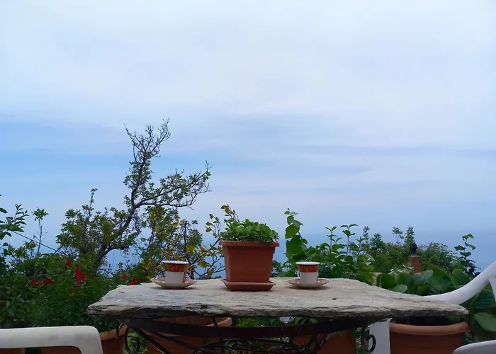 Katafigio In Village * Tsagkarada